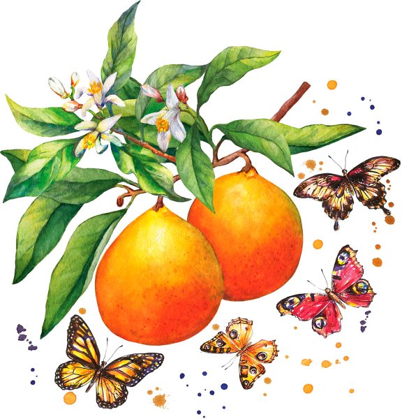 Papierservietten, Weiss, Orange, 33 x 33 cm, Fruity Butterflies