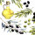 Papierservietten, bunt, 33 x 33 cm, Olives 1 x 20 Stk. (20 Stk.)