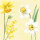 Papierservietten, Gelb, Weiss, 33 x 33 cm, Spring Daffodil 1 x 20 Stk. (20 Stk.)