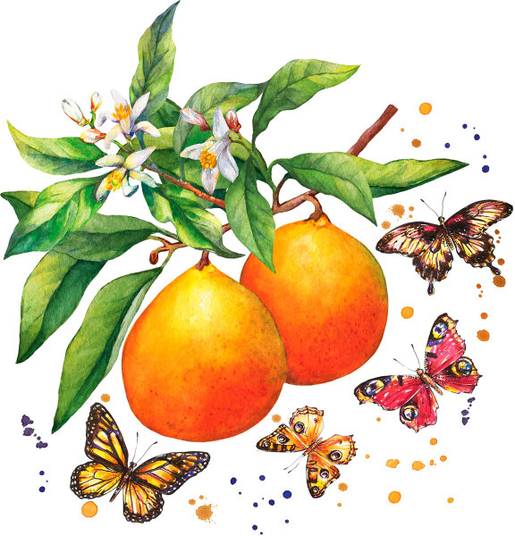 Papierservietten, Orange, 24 x 24 cm 1 x 20 Stk. (20 Stk.)