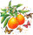 Papierservietten, Orange, 24 x 24 cm 1 x 20 Stk. (20 Stk.)
