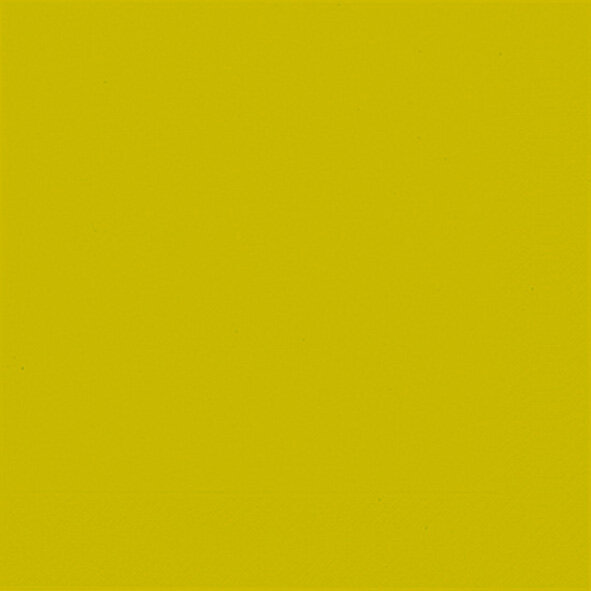 Papierservietten, Kiwi, 33 x 33 cm 1 x 20 Stk. (20 Stk.)