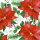 Papierservietten, Grün, Rot, 33 x 33 cm, Floral Christmas 1 x 20 Stk. (20 Stk.)