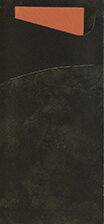 Bestecktasche Papier, Schwarz, mit Serviette, Orange,  8.5 x 19 cm, 100 Stk. 1 x 100 Stk. (100 Stk.)