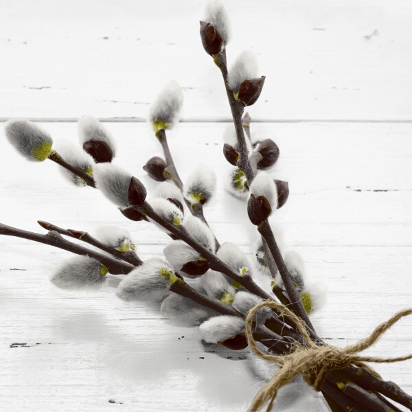 Papierservietten, Weiss, Schwarz, 24 x 24 cm, Wild Willow 1 x 20 Stk. (20 Stk.)