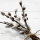 Papierservietten, Weiss, Schwarz, 24 x 24 cm, Wild Willow 1 x 20 Stk. (20 Stk.)