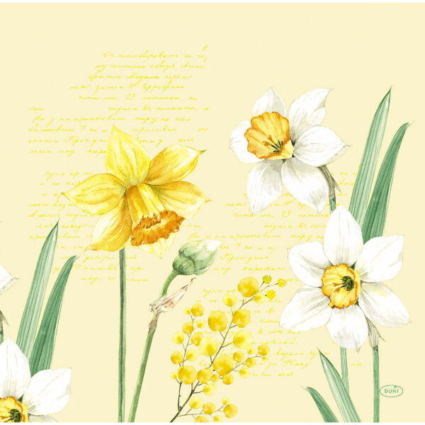Papierservietten, Gelb, Weiss, 40 x 40 cm, Spring Daffodil 1 x 12 Stk. (12 Stk.)