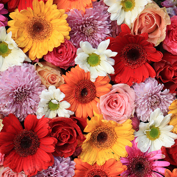 Papierservietten, bunt, 33 x 33 cm, Gerbera 1 x 20 Stk. (20 Stk.)