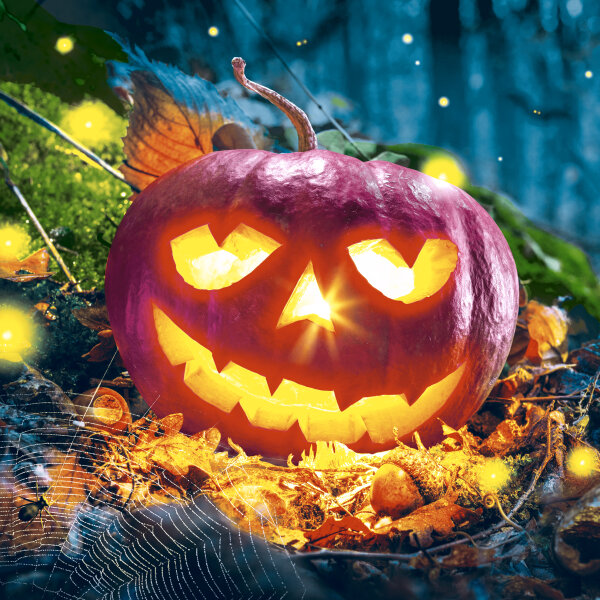 Papierservietten, Orange, 33 x 33 cm, Pumpkin Night 1 x 20 Stk. (20 Stk.)