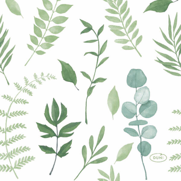Papierservietten, Grün, 24 x 24 cm, Greenery 12 x 20 Stk. (240 Stk.)
