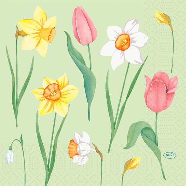 Papierservietten, bunt, 33 x 33 cm, Spring Melody 1 x 50 Stk. (50 Stk.)