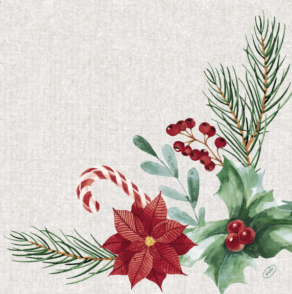 Papierservietten, Rot, Dunkelgrün, 40 x 40 cm, Seasonal Delight 1 x 12 Stk. (12 Stk.)