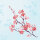 Papierservietten, Hellblau, 40 x 40cm, Cherry Breeze Blue 1 x 60 Stk. (60 Stk.)