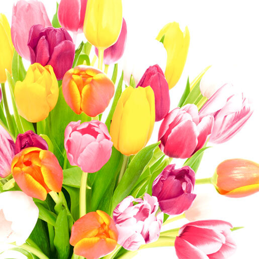Papierservietten, bunt, 33 x 33 cm, Beautiful Tulips