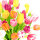 Papierservietten, bunt, 33 x 33 cm, Beautiful Tulips